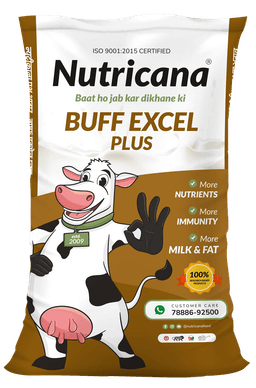 Buff Excel Plus