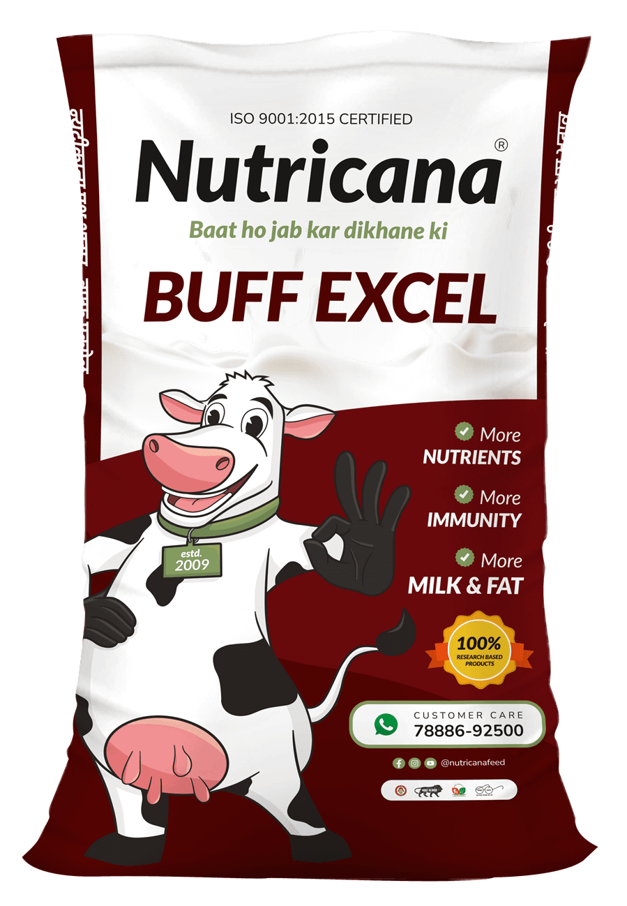 Buff Excel