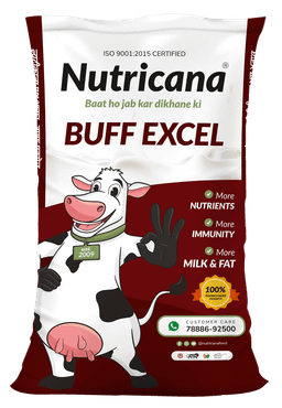 Buff Excel