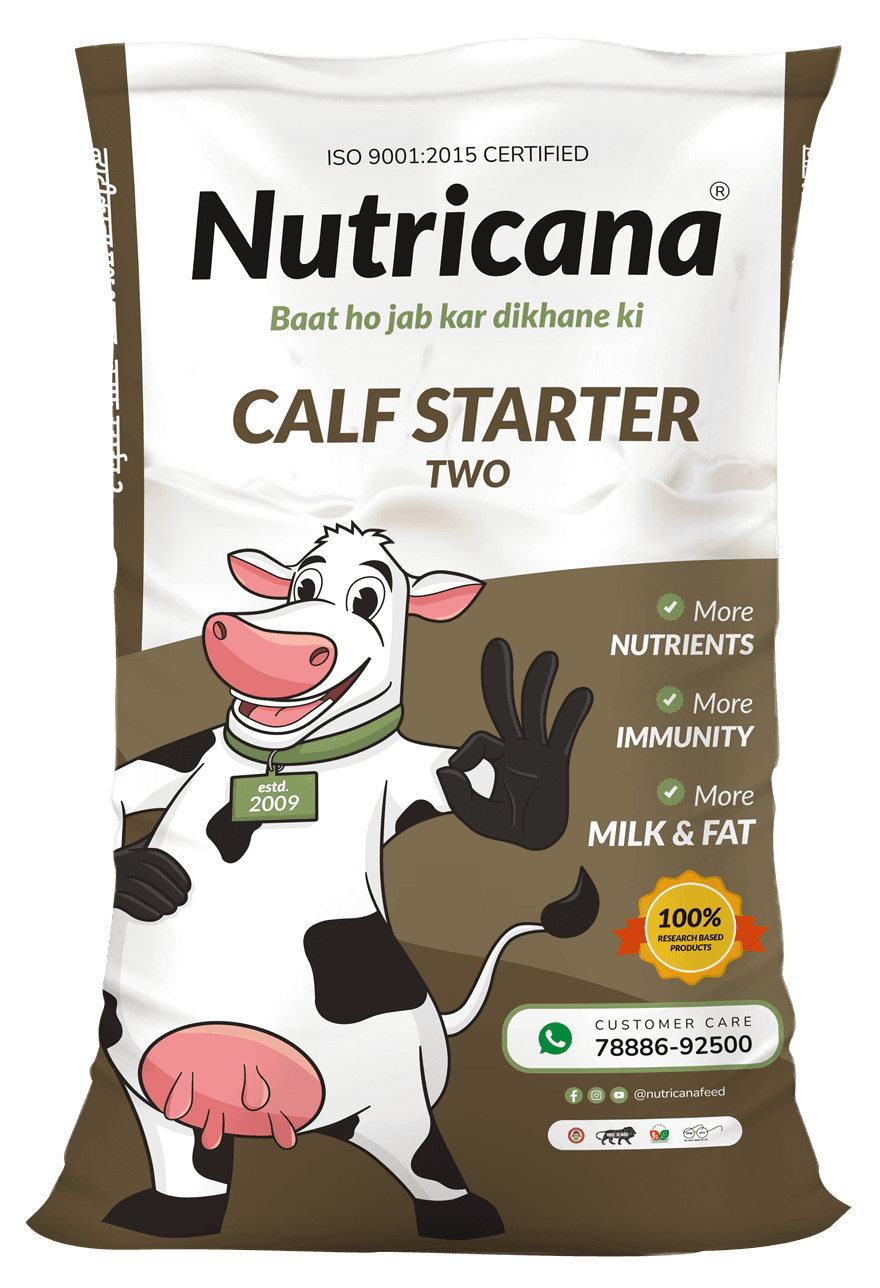 Calf Starter Two